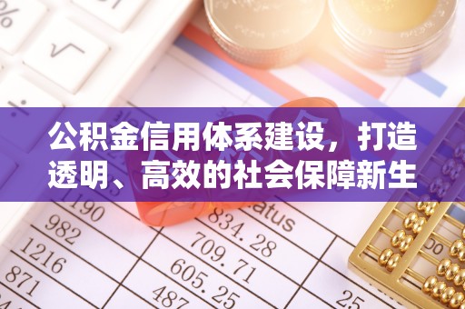 庆安公积金信用体系建设，打造透明、高效的社会保障新生态