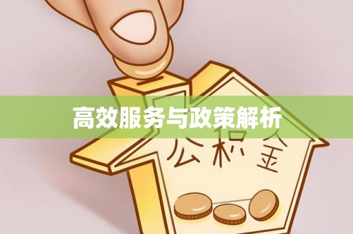 庆安高效服务与政策解析