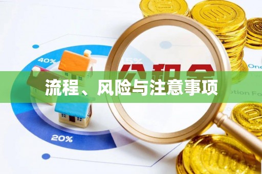 庆安流程、风险与注意事项